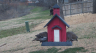 /Birds//Thumbs//found20250221-114359.png 