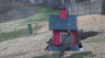 /Birds//Thumbs//found20250221-114548.png 