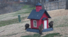 /Birds//Thumbs//found20250221-122123.png 