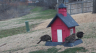 /Birds//Thumbs//found20250221-122341.png 