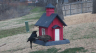 /Birds//Thumbs//found20250221-123818.png 