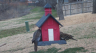 /Birds//Thumbs//found20250221-125543.png 