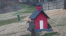 /Birds//Thumbs//found20250221-125709.png 