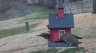 /Birds//Thumbs//found20250221-125748.png 