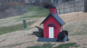 /Birds//Thumbs//found20250221-131519.png 