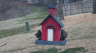 /Birds//Thumbs//found20250221-132254.png 