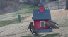 /Birds//Thumbs//found20250221-132313.png 