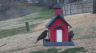 /Birds//Thumbs//found20250221-142922.png 