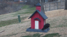 /Birds//Thumbs//found20250221-150428.png 