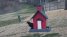 /Birds//Thumbs//found20250221-150517.png 