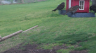 /Birds//Thumbs//found20250402-085319.png 