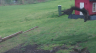 /Birds//Thumbs//found20250402-103728.png 