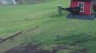 /Birds//Thumbs//found20250402-103906.png 