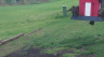 /Birds//Thumbs//found20250402-104123.png 
