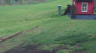 /Birds//Thumbs//found20250402-104413.png 
