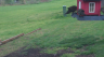 /Birds//Thumbs//found20250402-104420.png 