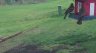 /Birds//Thumbs//found20250402-104539.png 