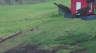 /Birds//Thumbs//found20250402-104742.png 