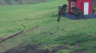 /Birds//Thumbs//found20250402-104745.png 