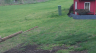 /Birds//Thumbs//found20250402-112749.png 