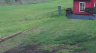 /Birds//Thumbs//found20250402-113015.png 