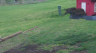 /Birds//Thumbs//found20250402-113051.png 
