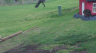 /Birds//Thumbs//found20250402-113147.png 