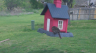 /Birds//Thumbs//found20250402-121321.png 