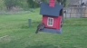 /Birds//Thumbs//found20250402-121342.png 
