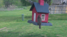 /Birds//Thumbs//found20250402-121853.png 