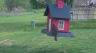 /Birds//Thumbs//found20250402-121919.png 
