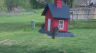 /Birds//Thumbs//found20250402-122042.png 