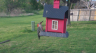 /Birds//Thumbs//found20250402-184033.png 