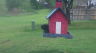 /Birds//Thumbs//found20250403-080711.png 