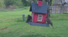 /Birds//Thumbs//found20250403-083945.png 