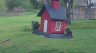 /Birds//Thumbs//found20250403-084721.png 