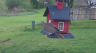 /Birds//Thumbs//found20250403-085512.png 