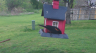 /Birds//Thumbs//found20250403-085924.png 
