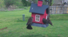 /Birds//Thumbs//found20250403-091110.png 