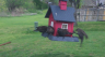 /Birds//Thumbs//found20250403-091158.png 