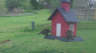 /Birds//Thumbs//found20250403-093921.png 