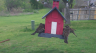 /Birds//Thumbs//found20250403-094513.png 