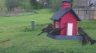 /Birds//Thumbs//found20250403-094526.png 