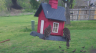 /Birds//Thumbs//found20250403-094534.png 