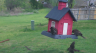 /Birds//Thumbs//found20250403-095025.png 
