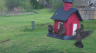 /Birds//Thumbs//found20250403-095438.png 