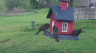 /Birds//Thumbs//found20250403-095502.png 