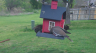 /Birds//Thumbs//found20250403-095828.png 