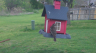 /Birds//Thumbs//found20250403-101945.png 