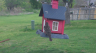 /Birds//Thumbs//found20250403-101954.png 